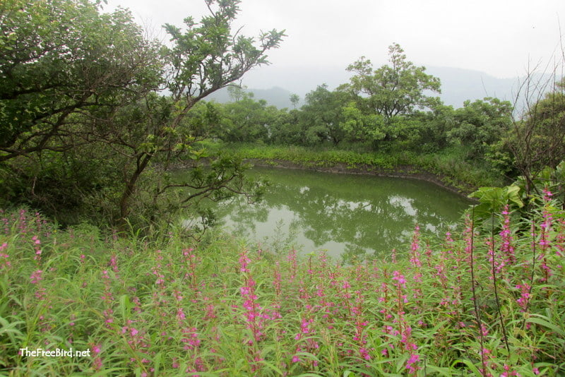 pandavgad lake