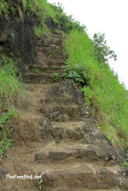 Pandavgad stairs