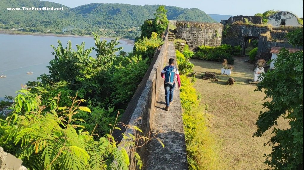 Greenery at Korlai fort