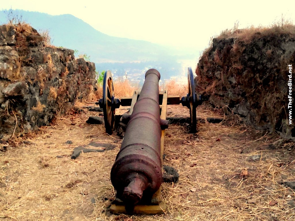 Biggest cannon at Korlai fort