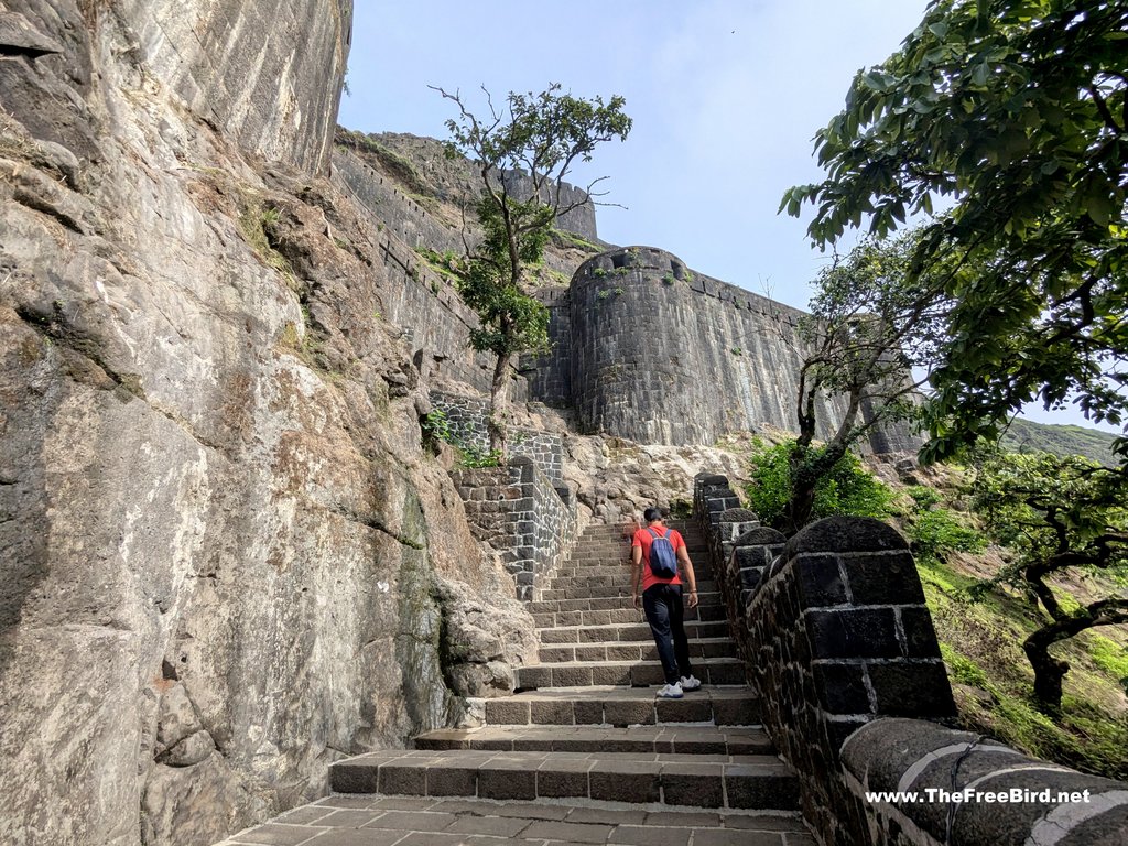 lohagad night trek