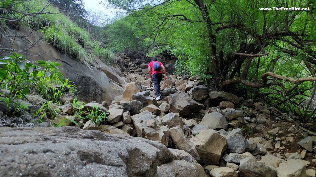 Waterfall route of Visapur fort trek