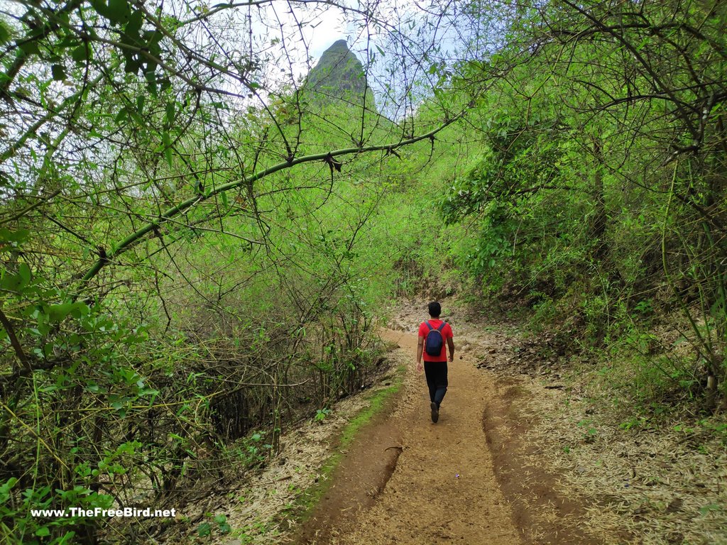 Korigad fort trek trail