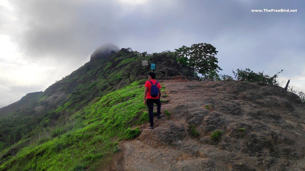 Tikona fort hidden by clouds