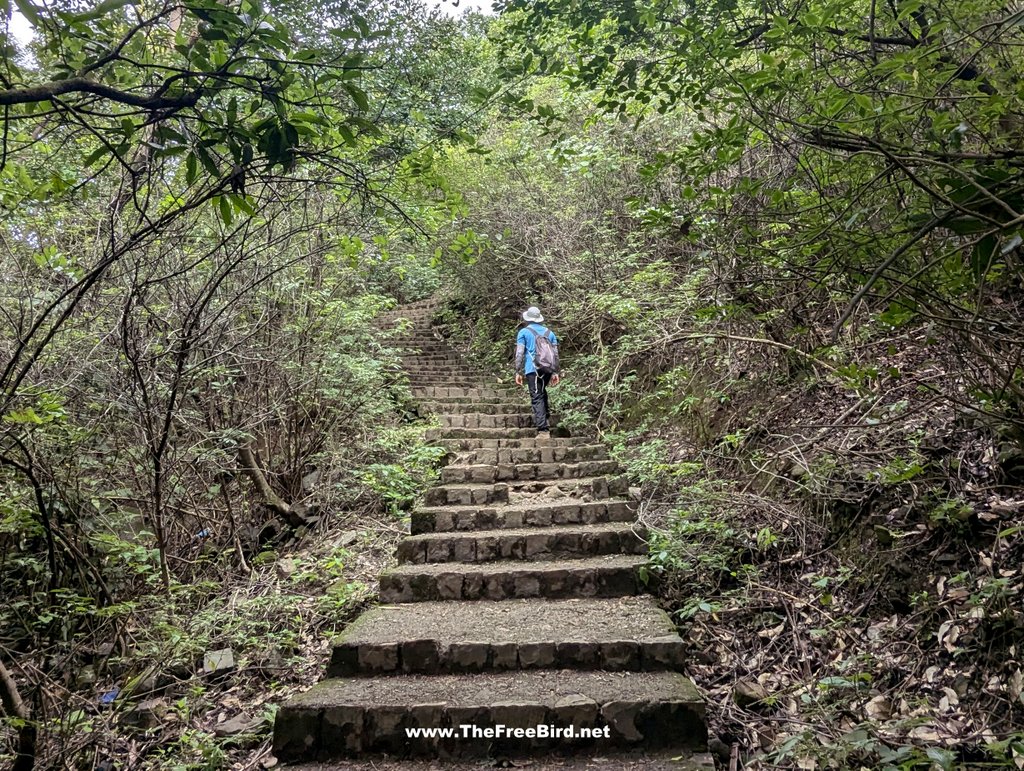 Korigad fort trek stairs