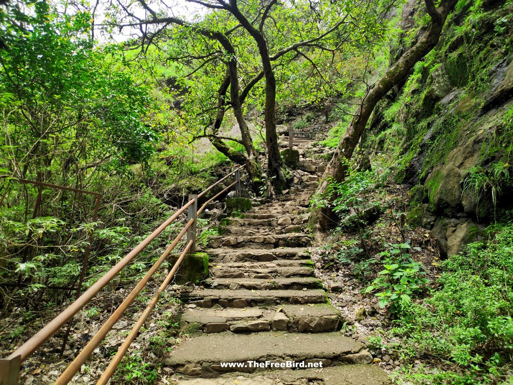 Korigad fort steps