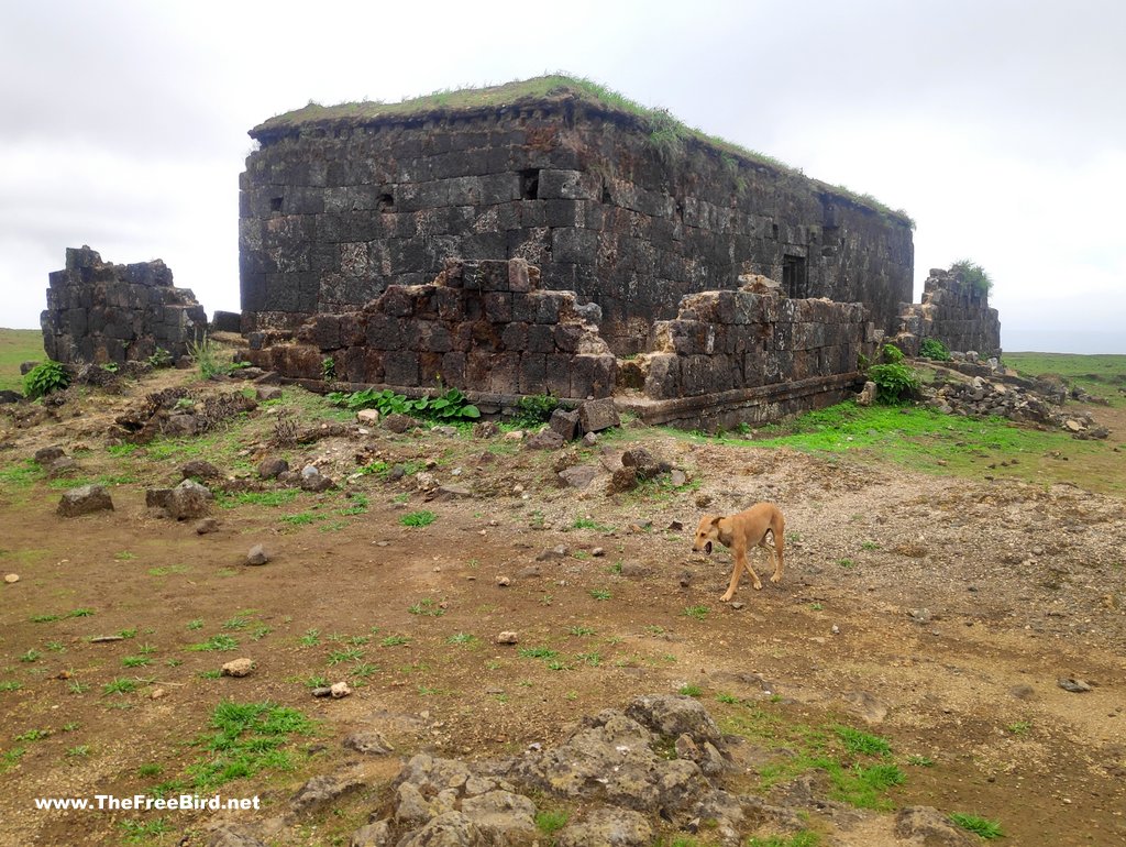 Building remains of Visapur kothar