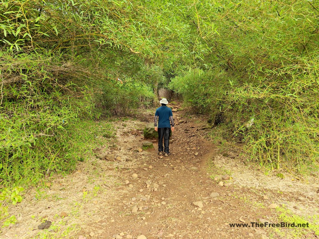 Starting point of Jivdhan fort trek