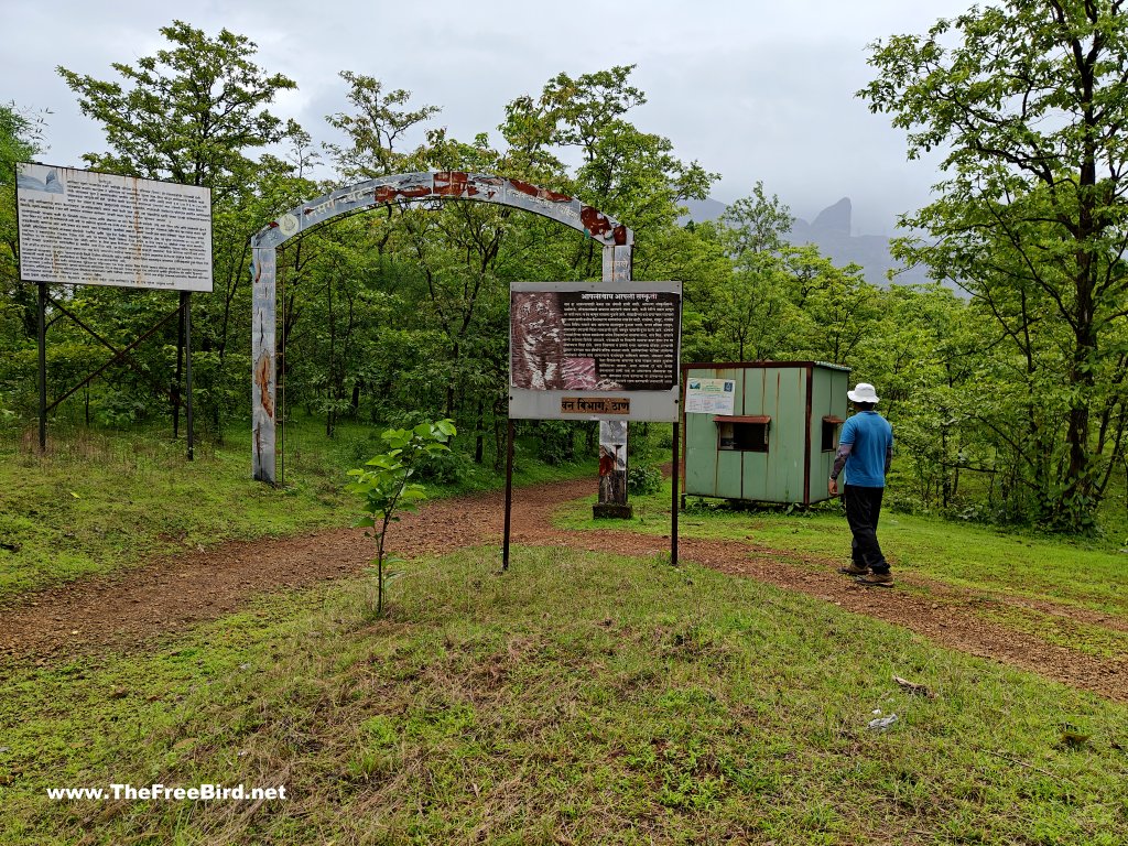 Naneghat reverse waterfall trek starting point