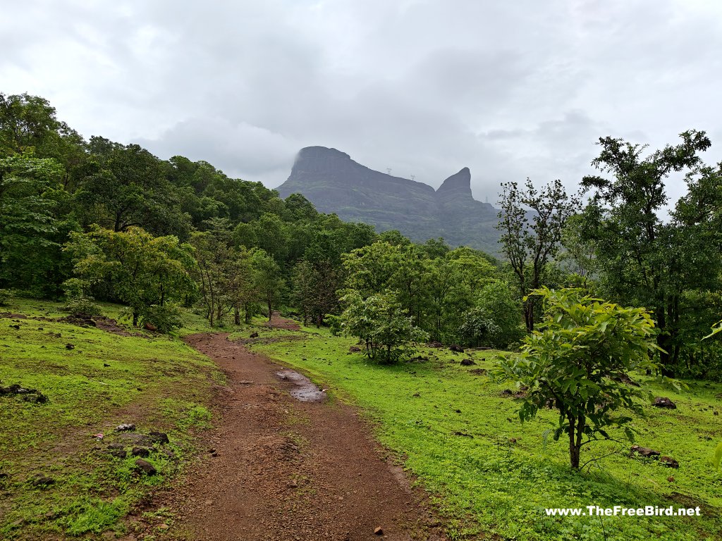 Naneghat reverse waterfall trek route