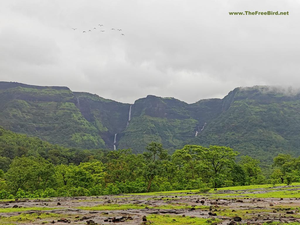 Kalu waterfall and paradise waterfall visible from Malshej ghat road