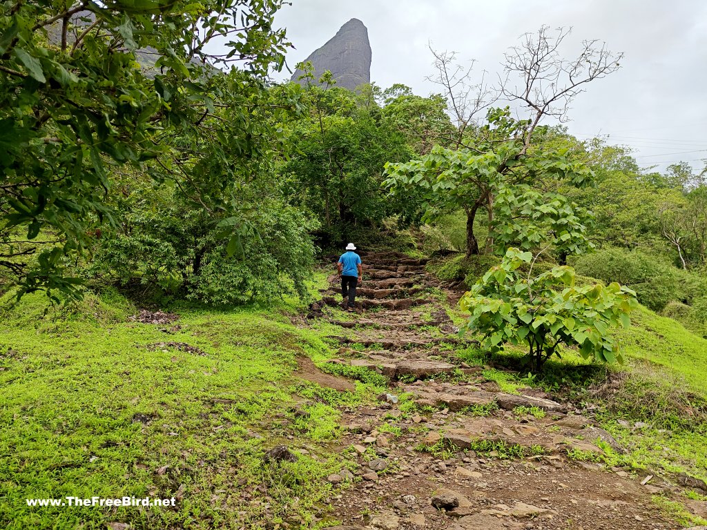 Naneghat reverse waterfall trek route stairs