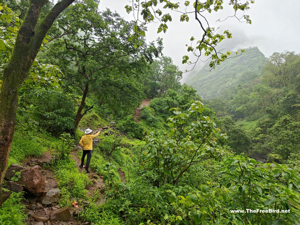 Muddy trail to reach bottom of Kalu waterfall