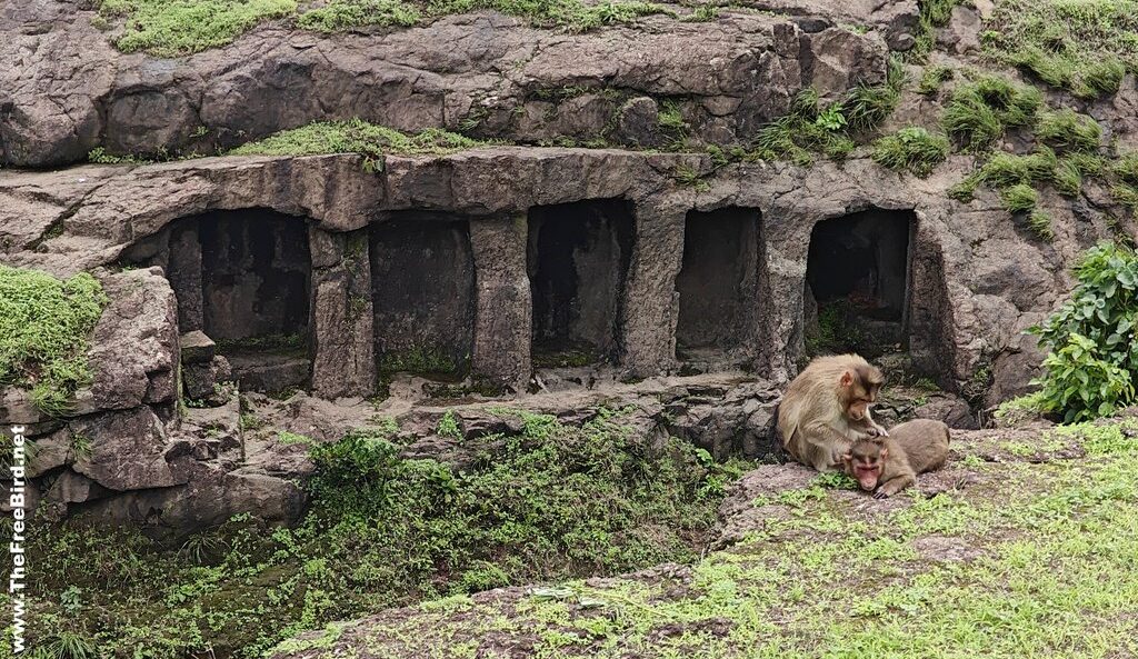 Second cave at naneghat trail