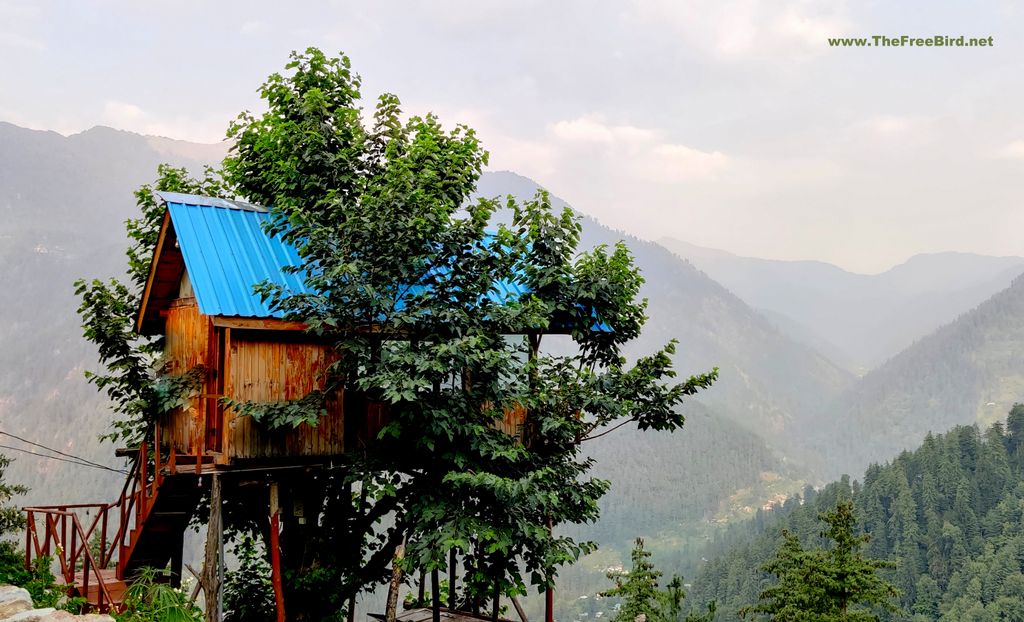 jungle book mulberry tree house in Tandi Jibhi Tirthan valley