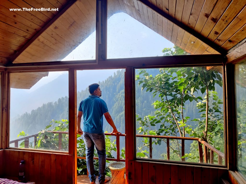 jungle book mulberry tree house in Tandi Jibhi Tirthan valley