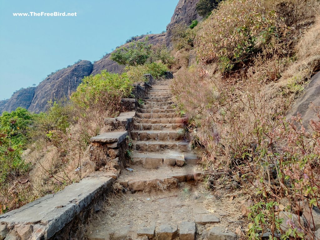 Stairs at Anjaneri fort