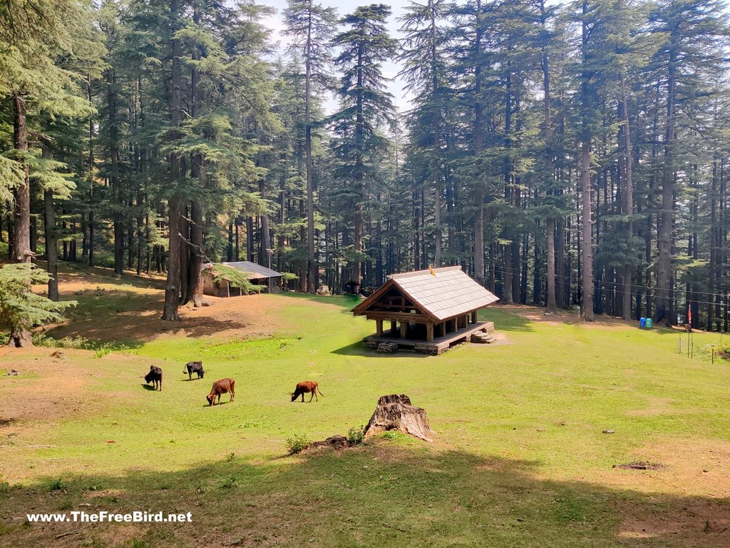 balu nag temple jibhi tirthan valley guide