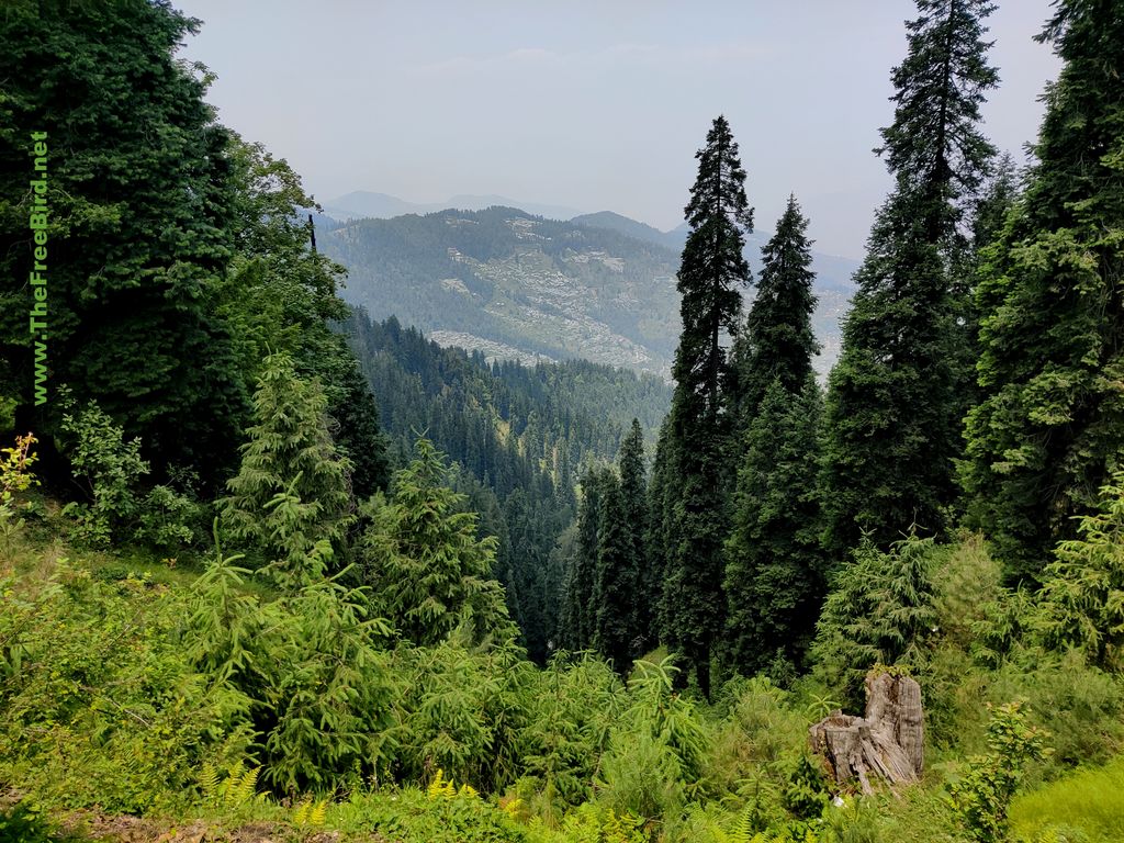 View from Narkanda Hatu peak