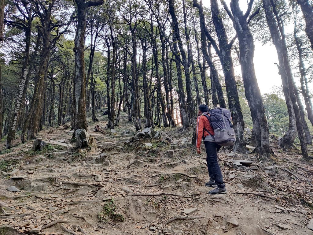 Raghupur fort trek from Jalori pass , Jibhi , Tirthan valley