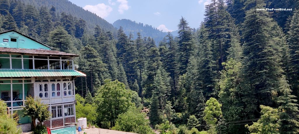 shoja jibhi tirthan valley