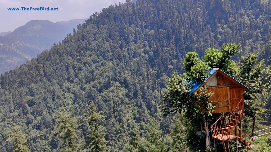 tree house jibhi tirthan valley