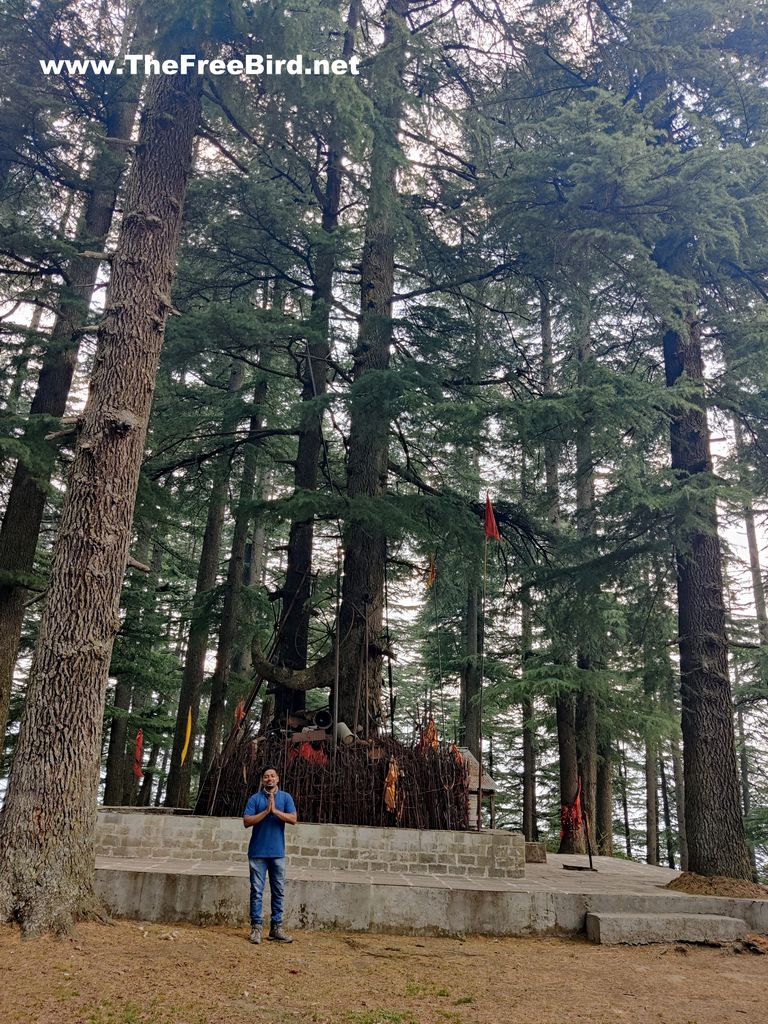 balu nag temple jibhi tirthan valley