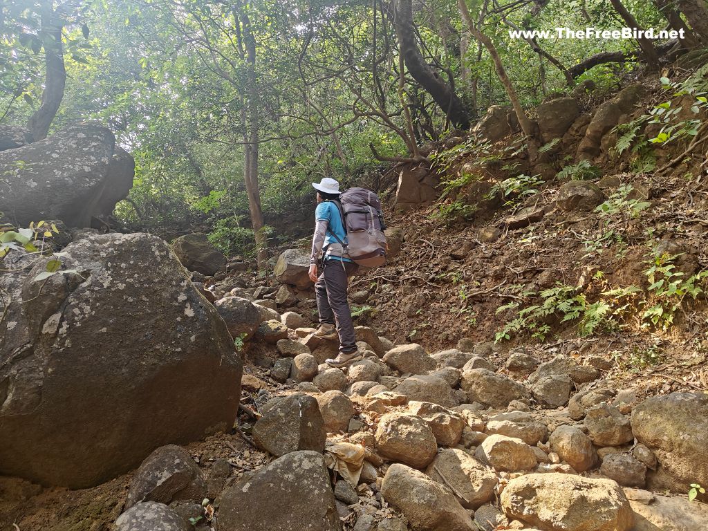 Trekking route to Harishchandragad from Khireshwar & paachnai