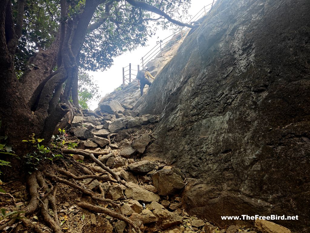 safety poles at Tolar Khind Harishchandragad trek