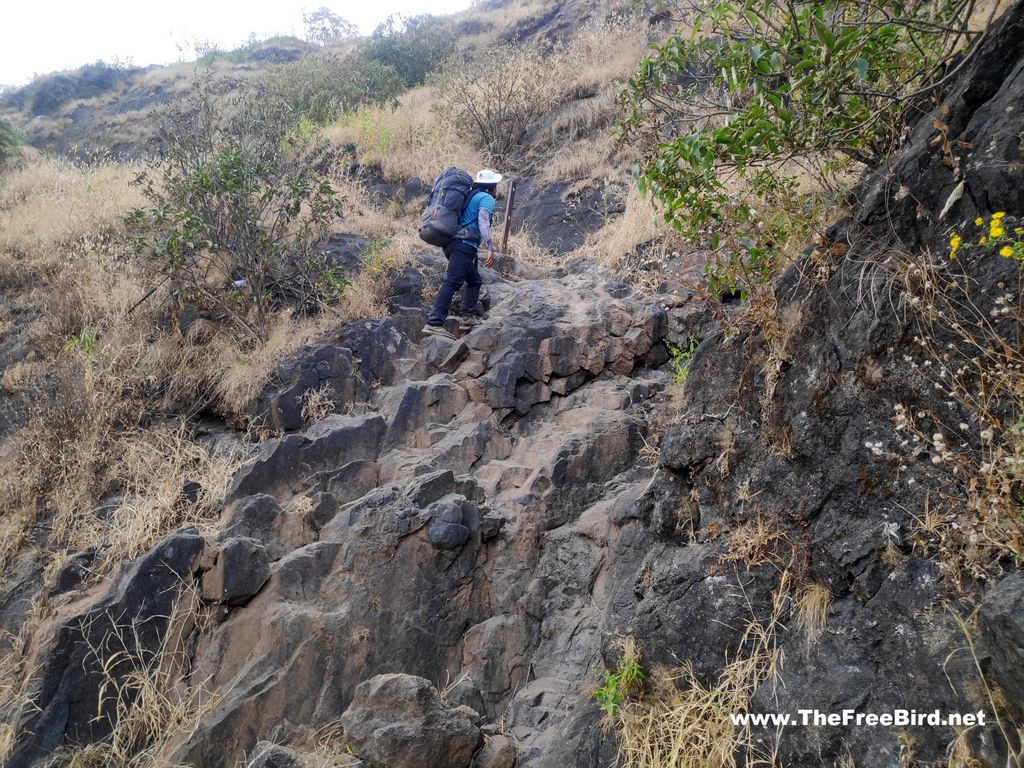 safety poles at Tolar Khind Harishchandragad trek from khireshwar