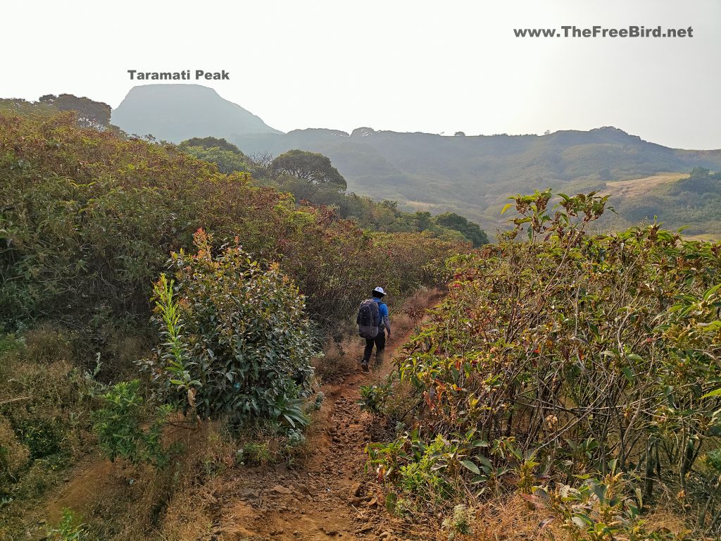 Khireshwar trail to Harishchandragad trek