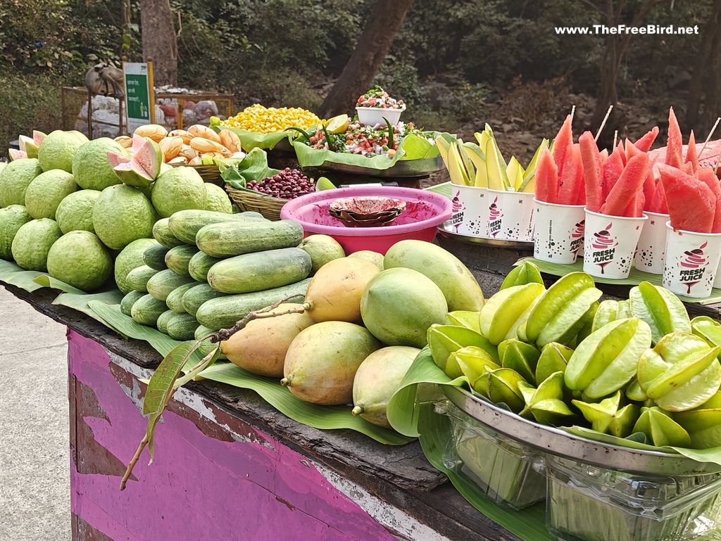 Food at Sanjay gandhi national park Borivali Mumbai