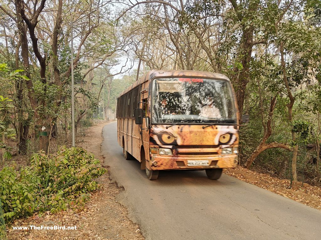 Tiger Lion safari Sanjay gandhi national park Borivali Mumbai