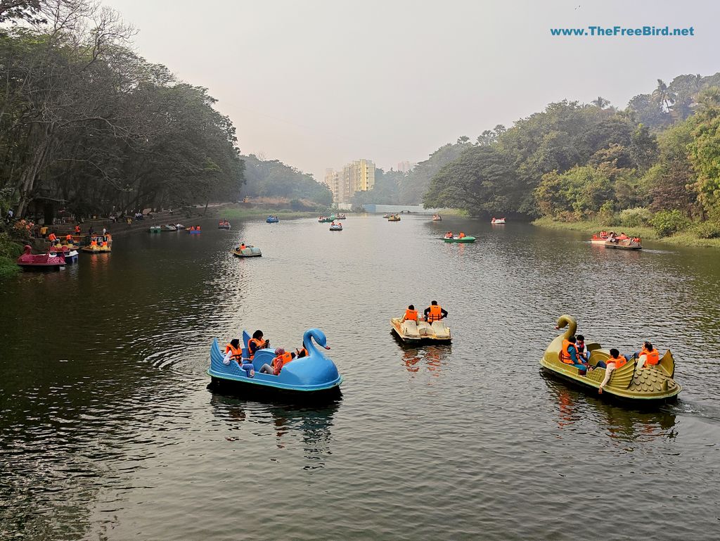 Boating Sanjay gandhi national park Borivali Mumbai